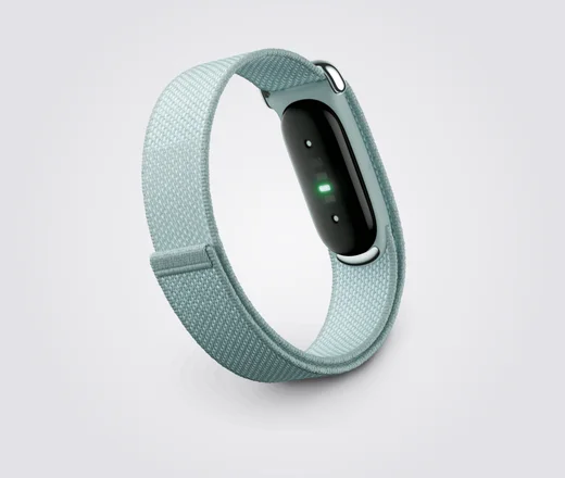 Google Fitbit Air